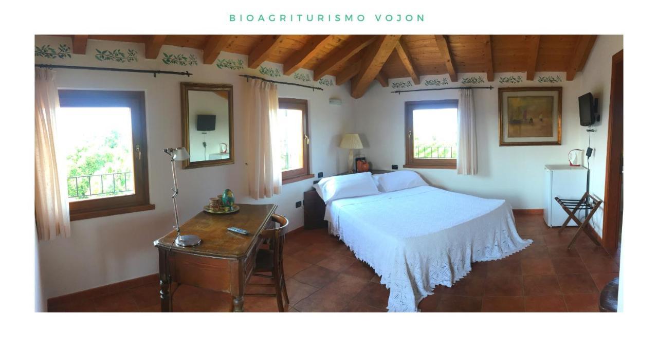 Bio Agriturismo Vojon Ponti sul Mincio Extérieur photo