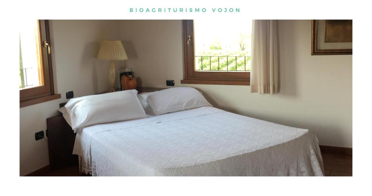 Bio Agriturismo Vojon Ponti sul Mincio Extérieur photo