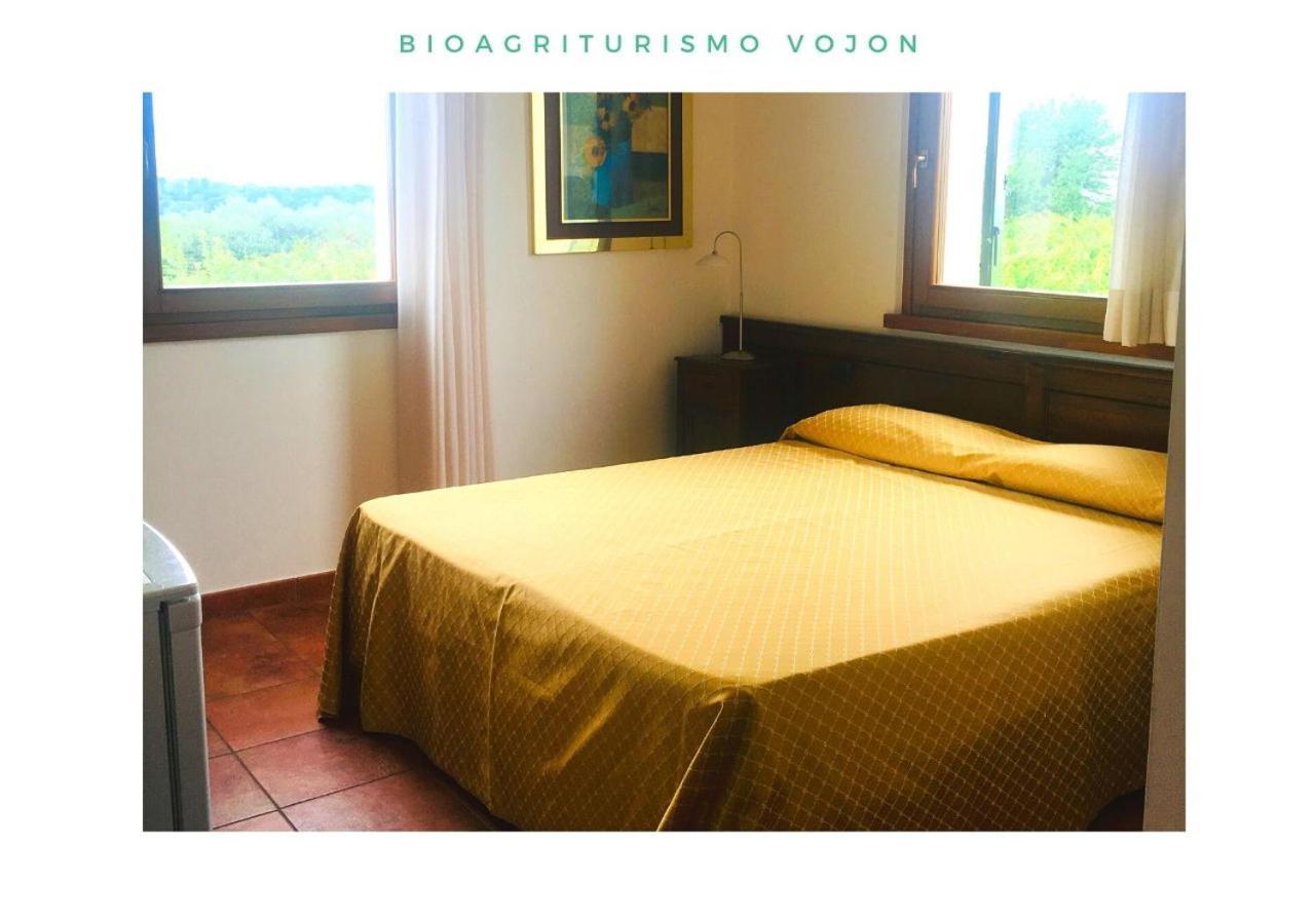 Bio Agriturismo Vojon Ponti sul Mincio Extérieur photo